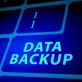 Data Backups and Recovery